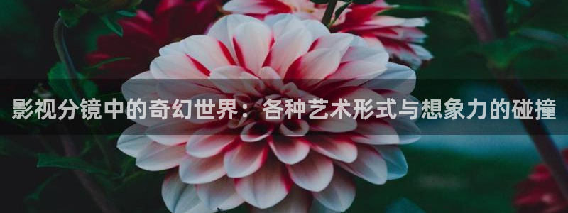 青柠价格