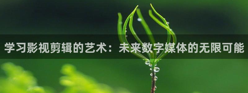 yy8090青柠影院：学习影视剪辑的艺术：未来数字媒体的无限可能