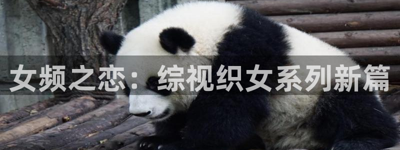 青柠在线观看免费高清影院：女频之恋：综视织女系列新篇