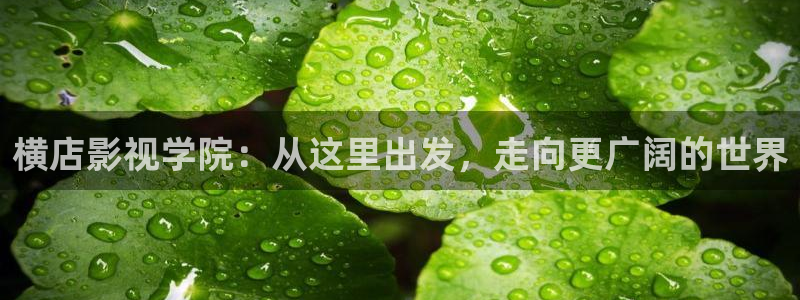 青柠影院免费在线观看：横店影视学院：从这里出发，走向更广阔的世界