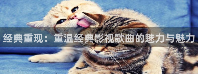 影院青柠